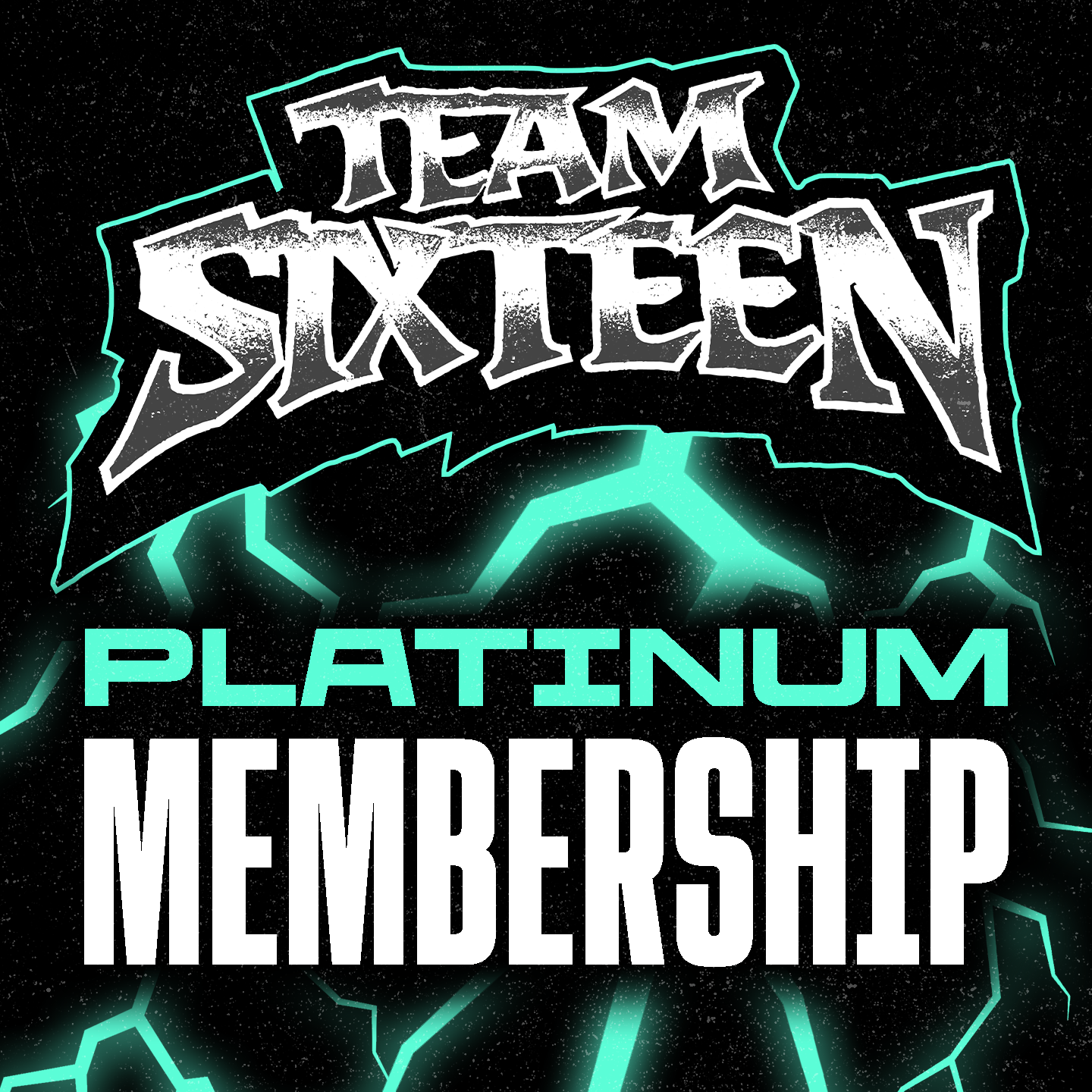 2026 "TEAM SIXTEEN" Platinum Membership